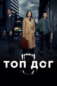 Топ дог 1-2 сезон 